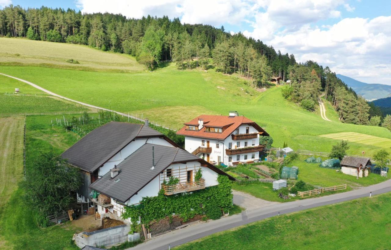 Holzerhof Lothen Campolino 5 Sankt Lorenzen Luaran gambar