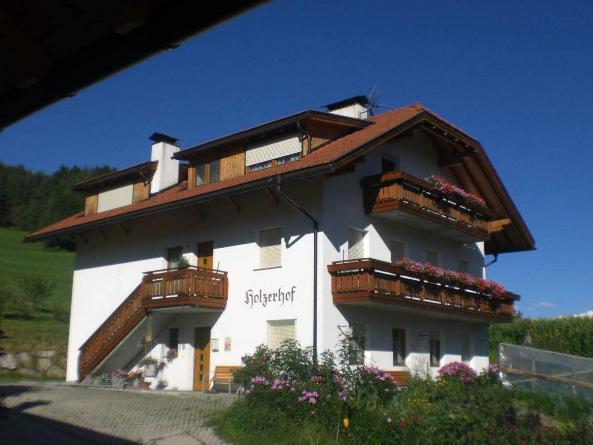 Holzerhof Lothen Campolino 5 Sankt Lorenzen Luaran gambar